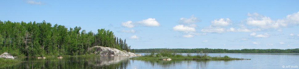 Canada's Boreal Forest: Lake