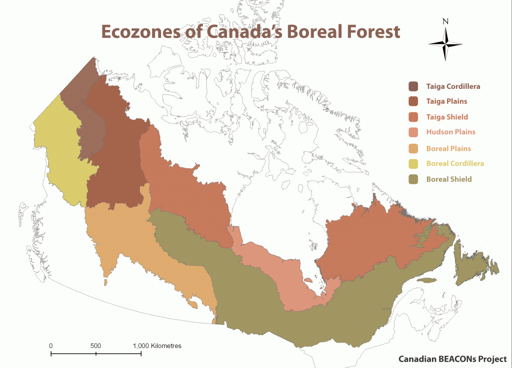 International Boreal Conservation Science Panel About the Boreal